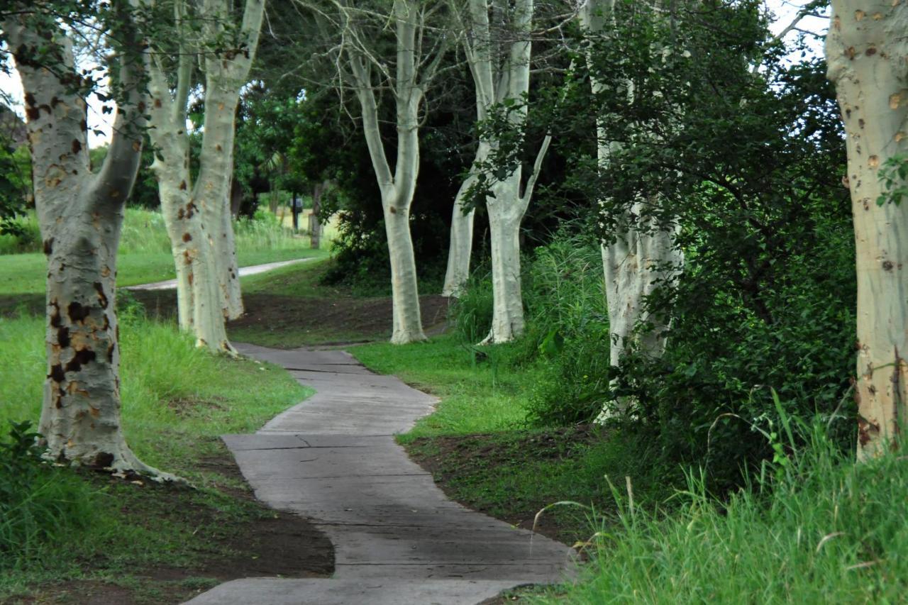 Kruger Park Lodge Unit No. 610B Hazyview Bagian luar foto