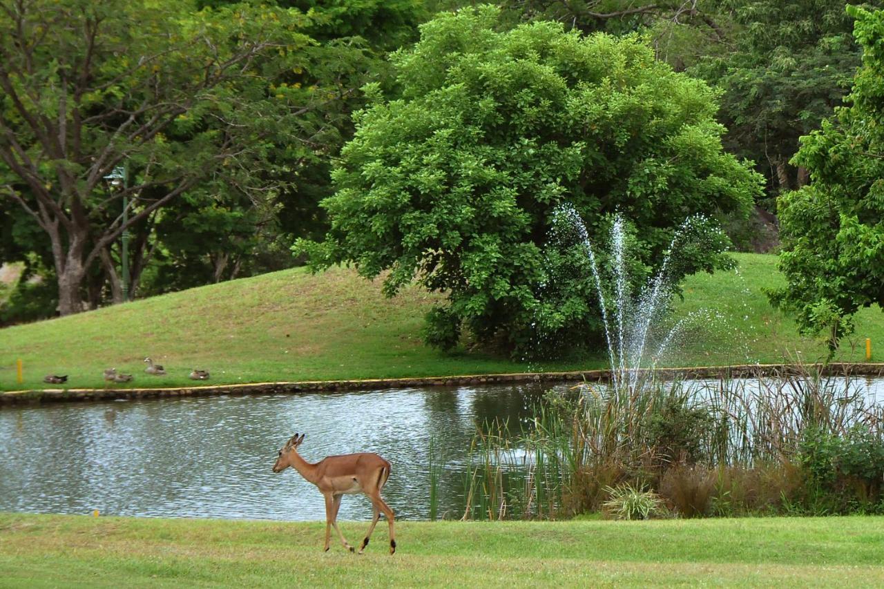 Kruger Park Lodge Unit No. 610B Hazyview Bagian luar foto